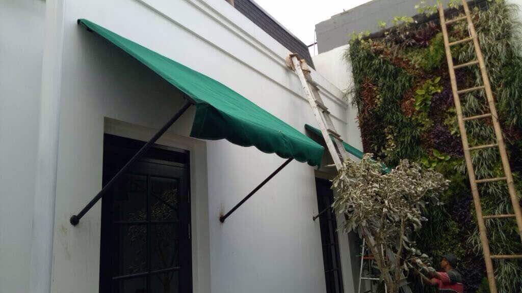 manfaat kanopikain 5